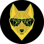 DINGO TOKEN